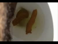 [ Poop  Film ] Nasty batch of shit floating on the bowl